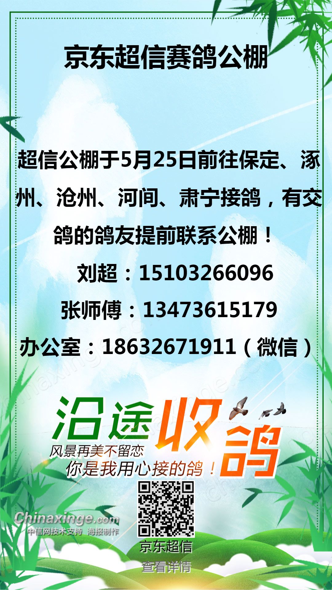 肇东信鸽协会最新公告发布，最新动态及消息汇总