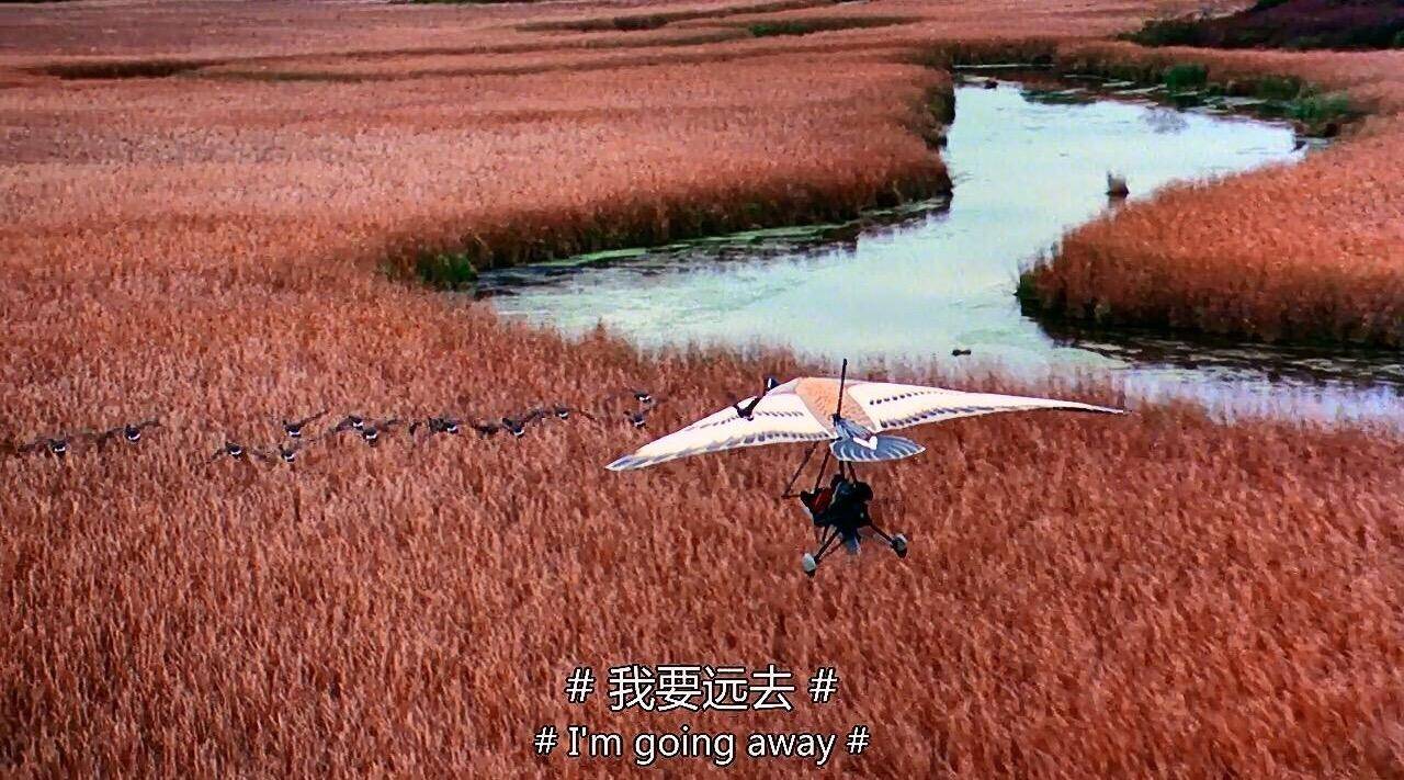 启程探索自然美景之旅，最新公告揭秘400059动态