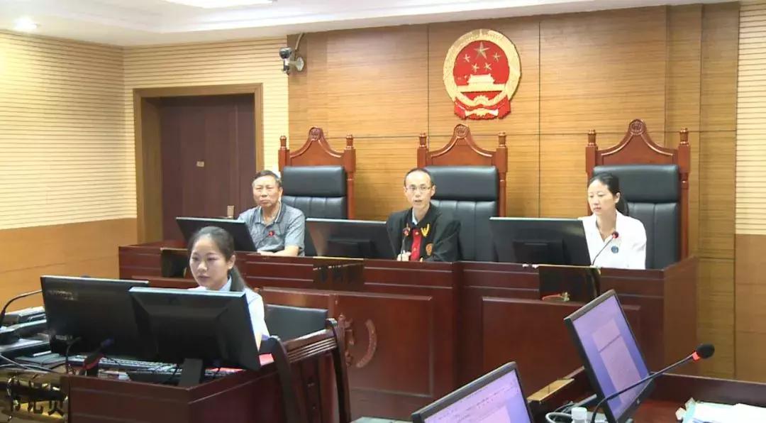 小学生药品恶作剧引发深度反思，教训背后的启示与自省之路