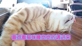 MV拍摄 第1833页