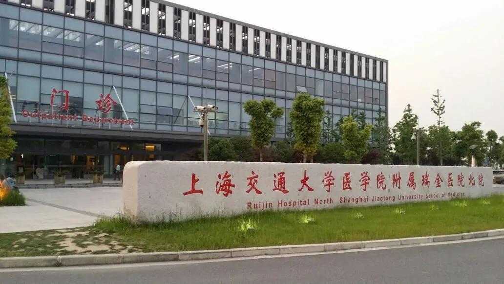 网红涌入上海三甲医院打卡拍照现象深度解析