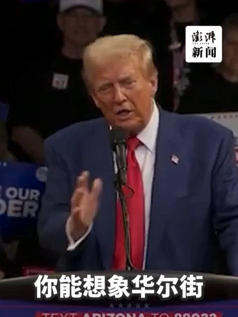 第7395页
