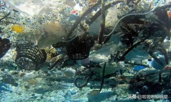 中国股票基金单周流入近400亿美元，市场繁荣新篇章开启