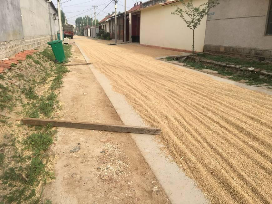占道纷争引发冲突，两司机互殴引发道路安全关注