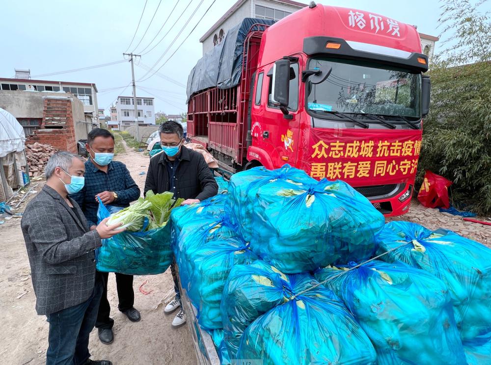 国家卫健委针对医院检查结果不互认现象发声，揭秘背后故事与特色小店探秘之旅