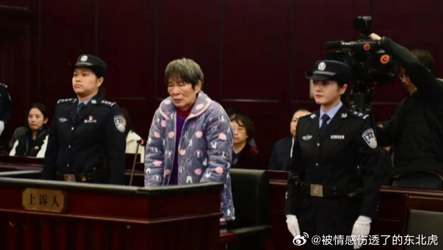 余华英拐卖儿童案重审，爱与陪伴的力量引发关注与反思