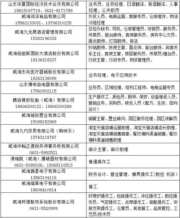 胶州招聘网最新招聘，小巷深处的独特职业机遇