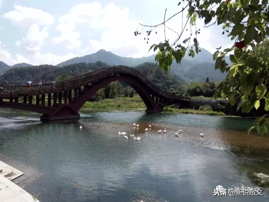 最新彩票字谜汇总，与自然美景的心灵之旅探索