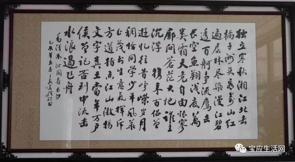 宝应人才市场最新招聘信息速递