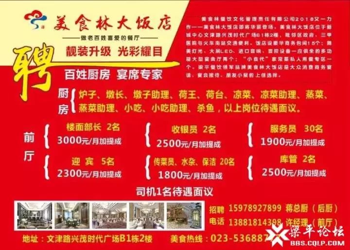 淮阳最新招聘信息概览与观点论述