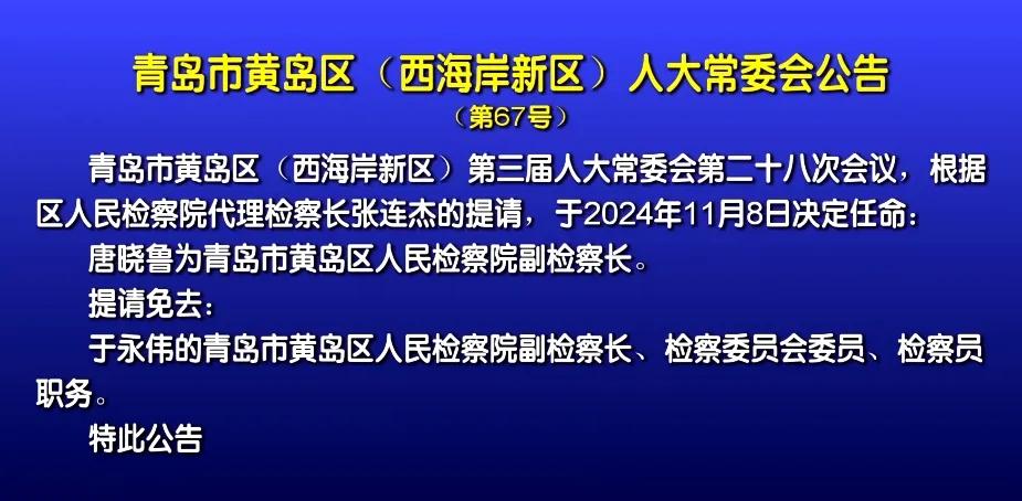 青岛最新人事任免，步骤指南及详解