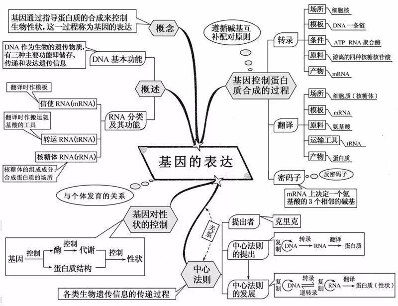 金河生物新动态，变化中的学习成就自信与成就源泉