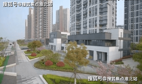 探索自然美景的旅行，揭秘最新网赚项目，寻找内心的平和宁静