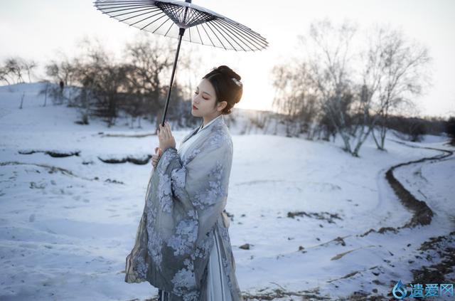 伊人贺兰雪最新章节深度解析与探讨