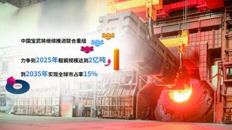 武钢改革最新消息,武钢改革最新消息，变革中的力量，点燃未来的火花