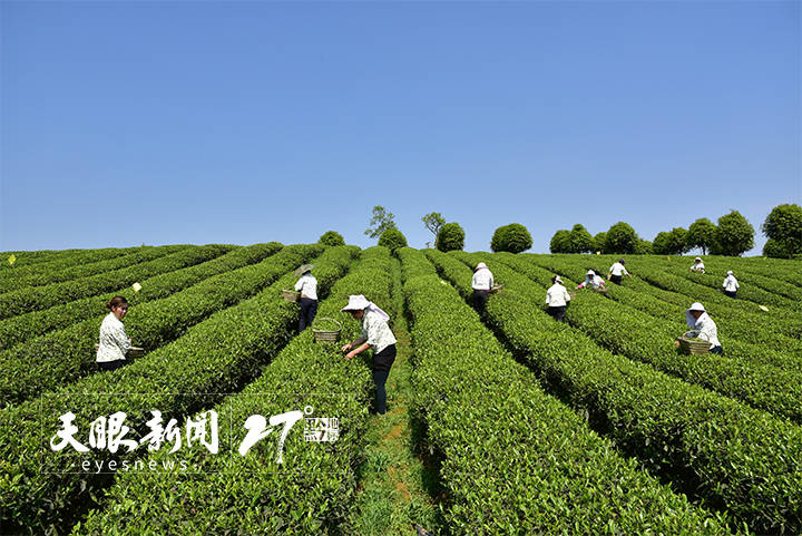 自然美景探索 第12页