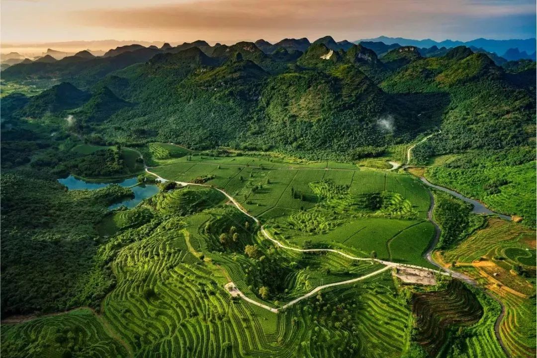 芒果金融最新公告，启程自然美景探索之旅