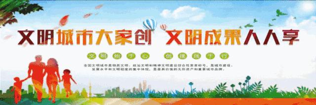 河北高碑店最新动态更新✨