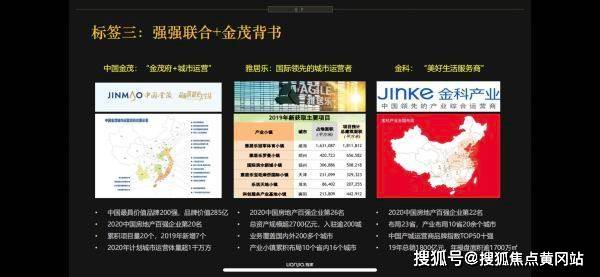 玫瑰绽放新时代，最新动态与闪耀光芒