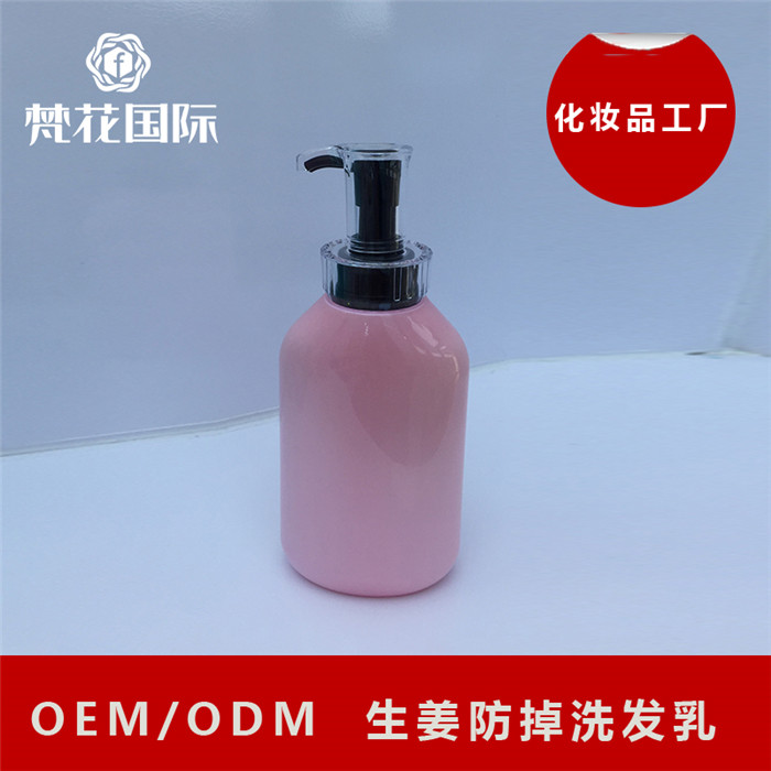 广东生姜最新价格动态更新