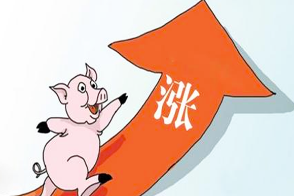 健痊最新价格全面指南，全面了解健痊最新价格信息