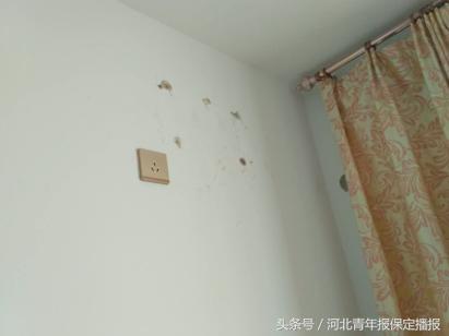 保定雍和嘉苑最新动态，科技前沿的居住体验更新
