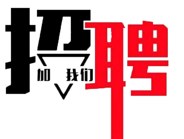 横溪镇招聘网最新招聘，求职奇遇与友情的绽放之旅