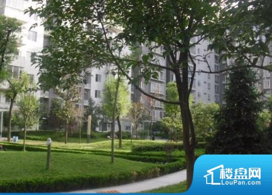 泘沱寨廉租房最新动态更新