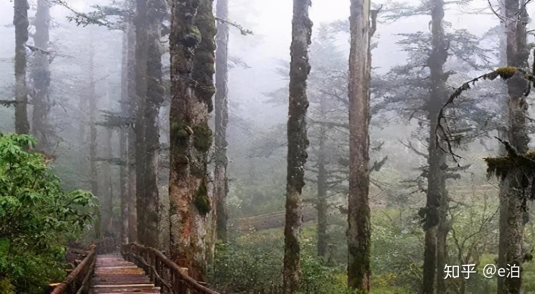 自然美景探索之旅 第13页
