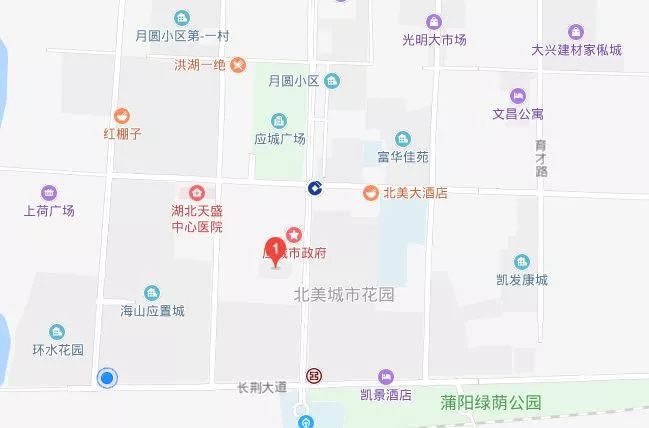 应城最新事件全面论述，最新动态与深度分析