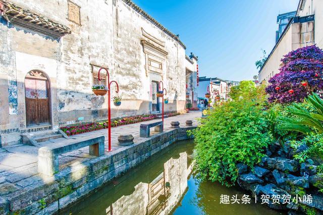 台湾巷弄深处小店奇遇记，最新旅行探索之旅