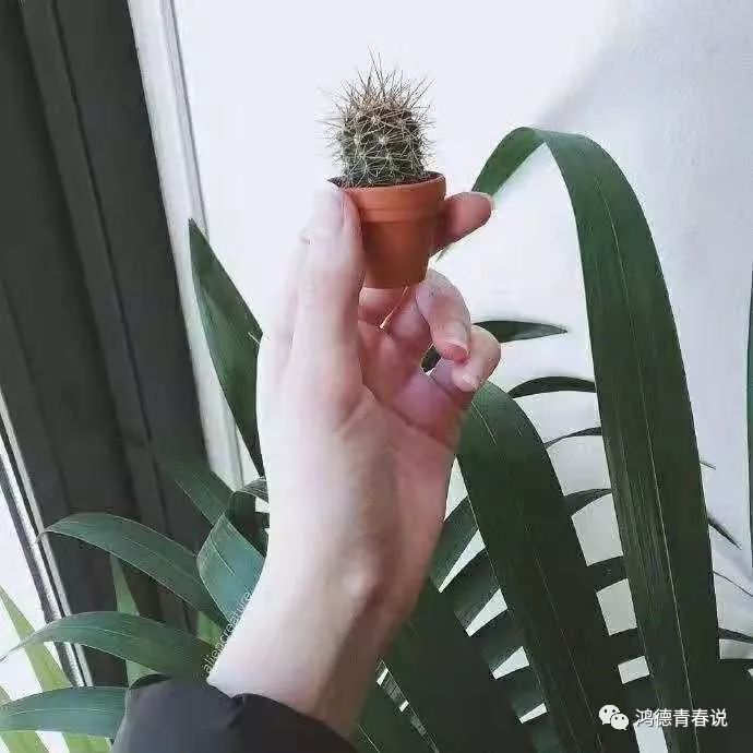 文化艺术交流与策划 第341页