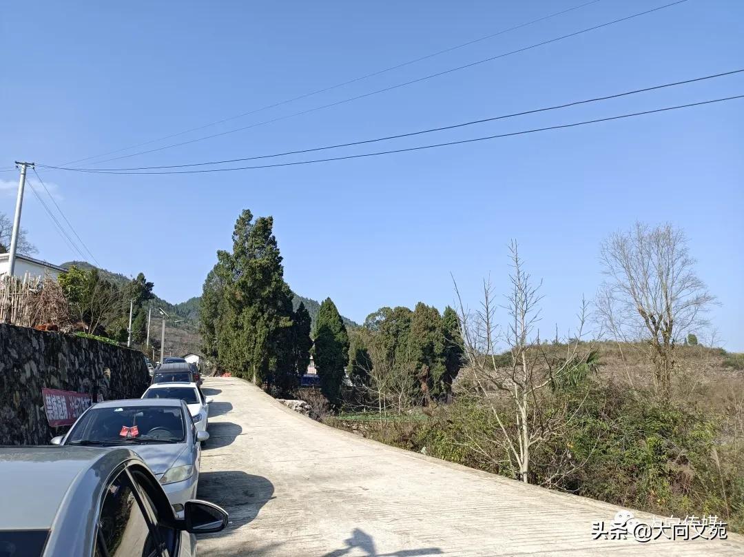水泥产业新政策下的日常风采，行业变革与水泥之韵