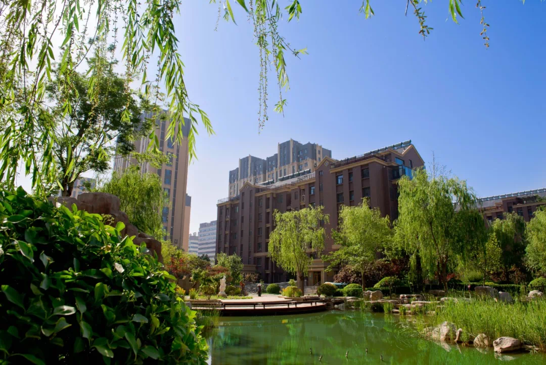 华建一街区最新动态揭秘，自然美景探索之旅的轻松启程