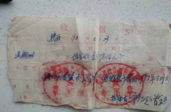 文化艺术交流与策划 第329页