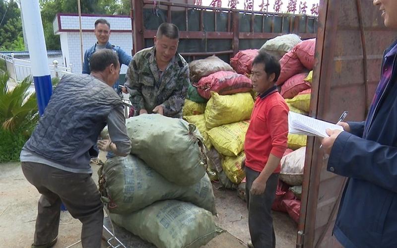阆中房产网最新楼盘，梦想之屋，自信与变化的共舞之地