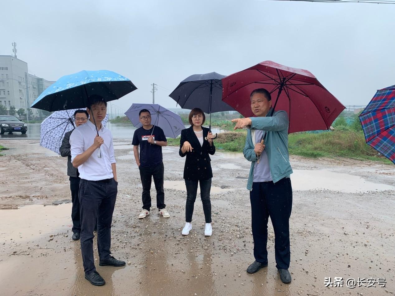 泾渭新城最新发展动态，全面指南与详细步骤解析