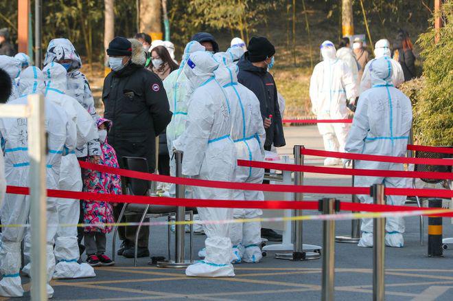 北京疫情下的自然探索之旅，寻求内心的宁静与平和