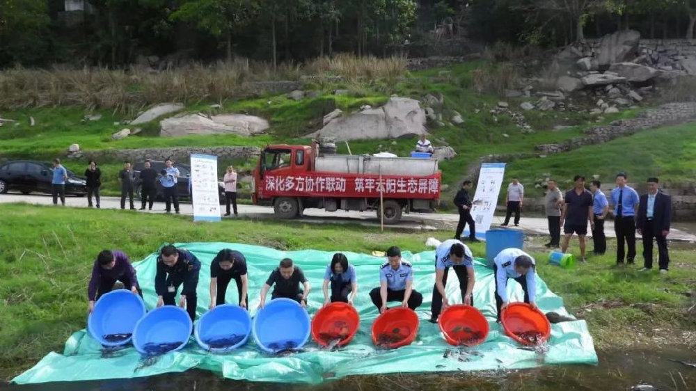 水域生态保护警钟长鸣，最新非法捕捞案件触目惊心