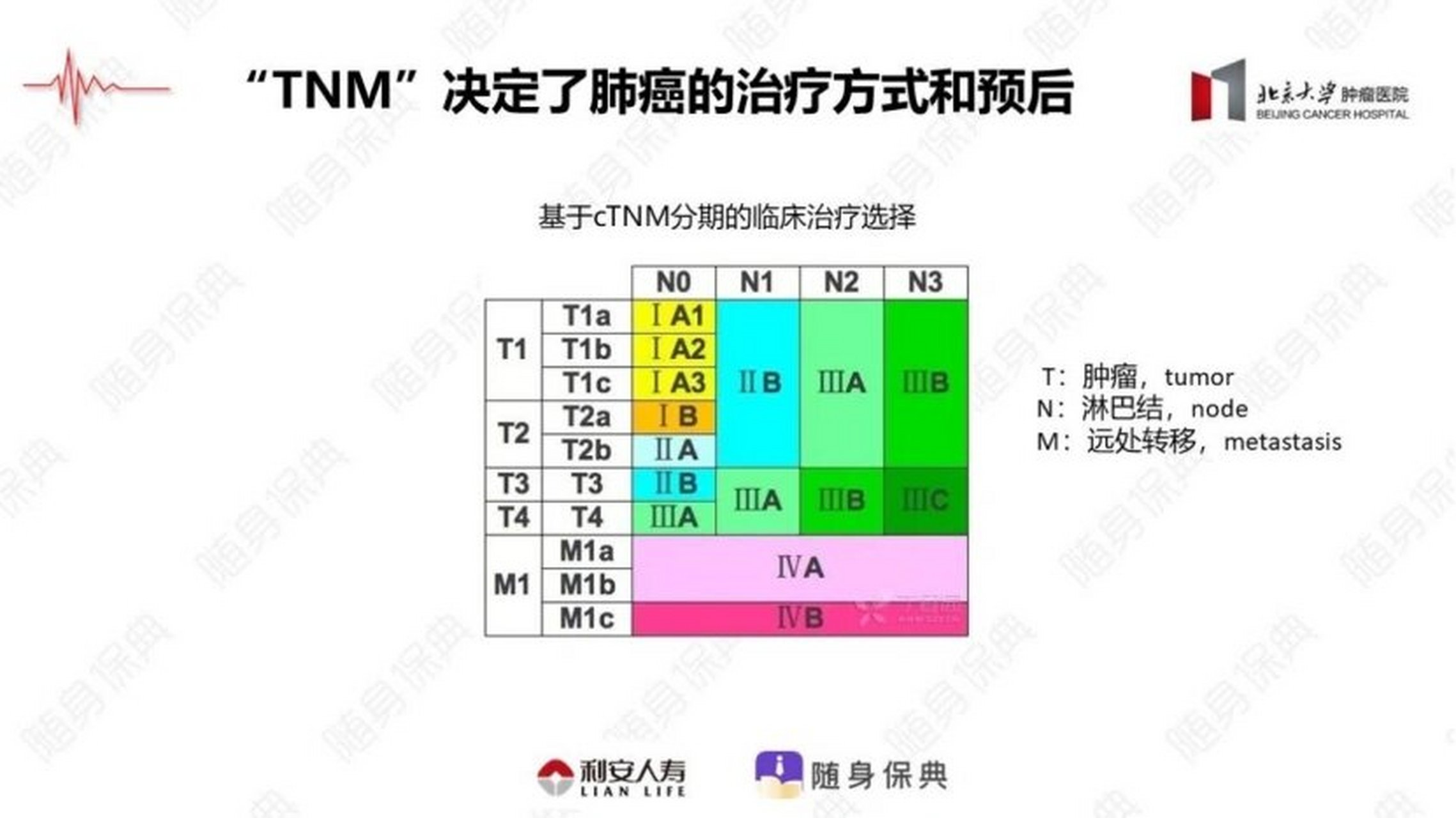肺癌TNM分期最新变化，励志之旅中的信心与成就感提升
