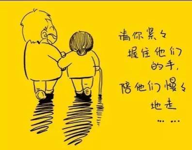 母亲的爱，最新展现的无尽关怀与温暖力量