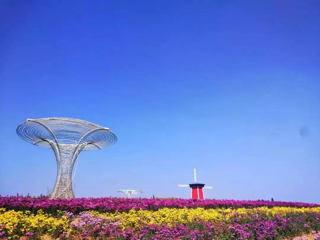 自然美景探索之旅背后的最新政坛动态揭秘
