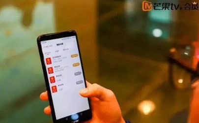 文化艺术交流与策划 第261页