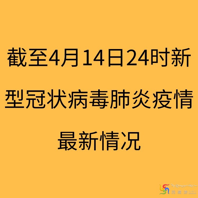 🌸肺炎疫情最新动态更新🌸