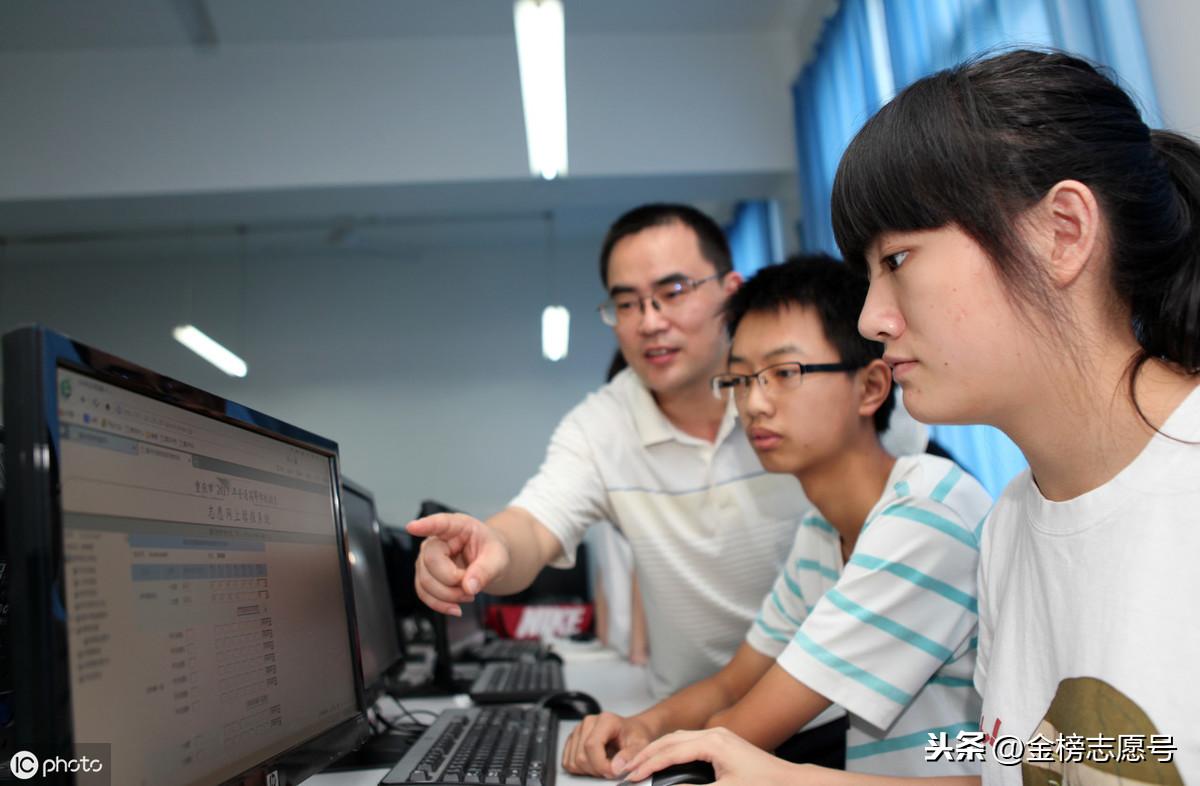 山东高考最新录取情况及分析概览