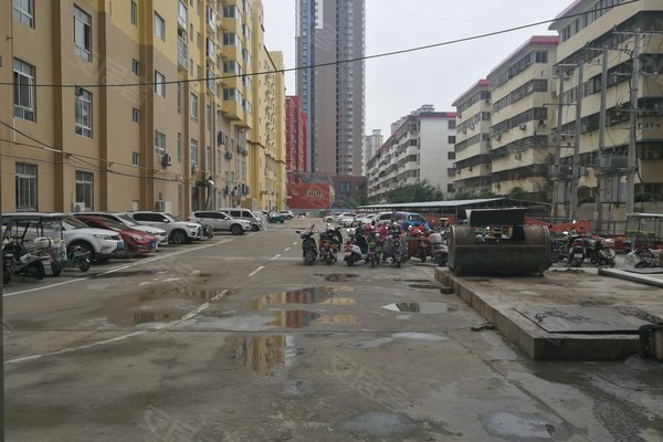 南阳瑞金福邸，自然美景探索之旅的最新动态