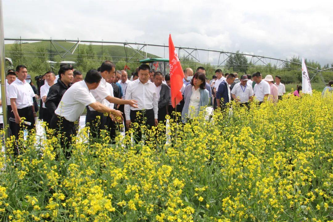 新型除草设备，革新与争议之间的深度探讨