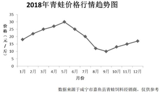 青蛙行情速览概览