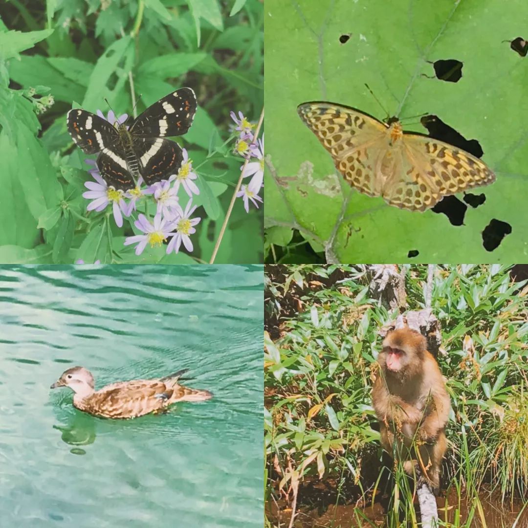 自然美景探索之旅 第5页