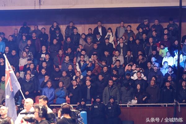 拳王游戏最新版，格斗盛宴的升级与演变